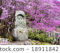 Daigo和Mituba杜鵑花2 18911842