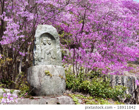 Daigo和Mituba杜鵑花2 Daigo和Mituba杜鵑花2 18911842