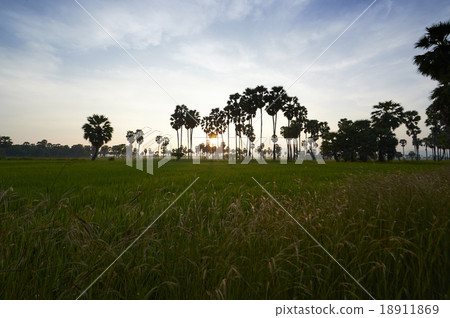 Petchburi Petchburi 18911869