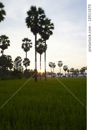 Petchburi Petchburi 18911870