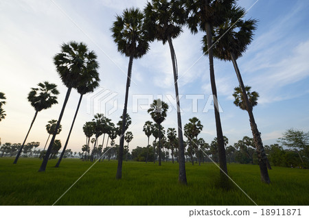 Petchburi 18911871