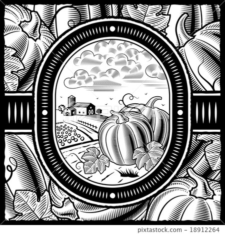 Pumpkin harvest black and white Pumpkin harvest black and white 18912264