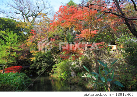 秋季樹葉寺廟 18912405