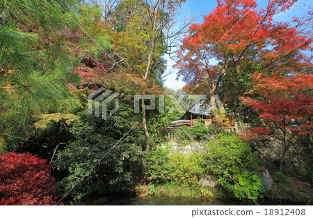 秋葉的二見寺 18912408