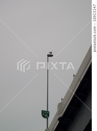Metropolitan Expressway  18913147