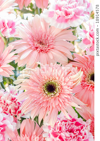 pink flowers 18914578