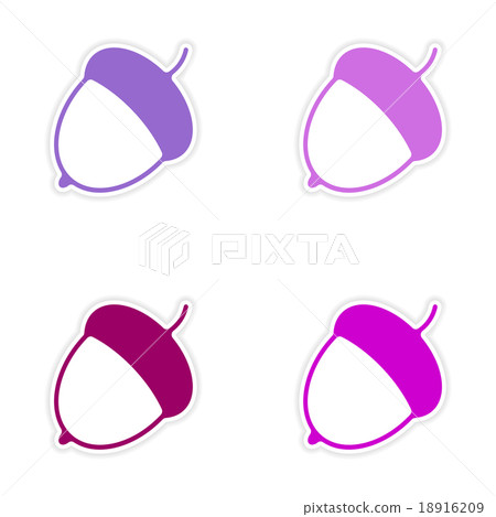 assembly realistic sticker design on paper acorn 18916209