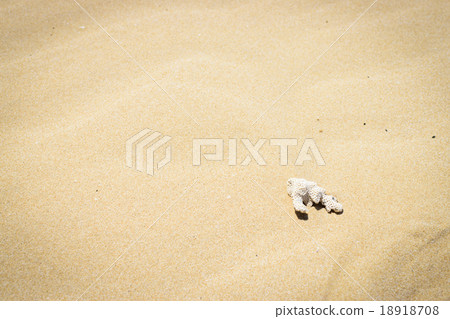 Dead coral vintage on the beach, Thailand Dead coral vintage on the beach, Thailand 18918708