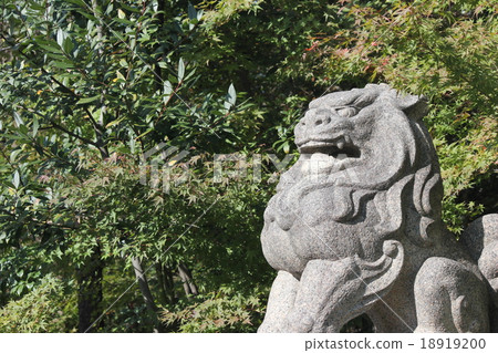 Guinea dog of Ching Ming Shrine 18919200