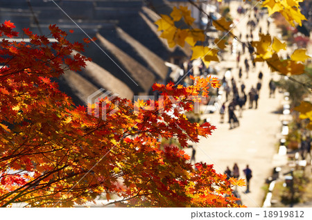 Autumn leaves with Ouchi inn as background, Minami Aizu, Fukushima prefecture (counter light, telephotography) Autumn leaves with Ouchi inn as background, Minami Aizu, Fukushima prefecture (counter light, telephotography) 18919812