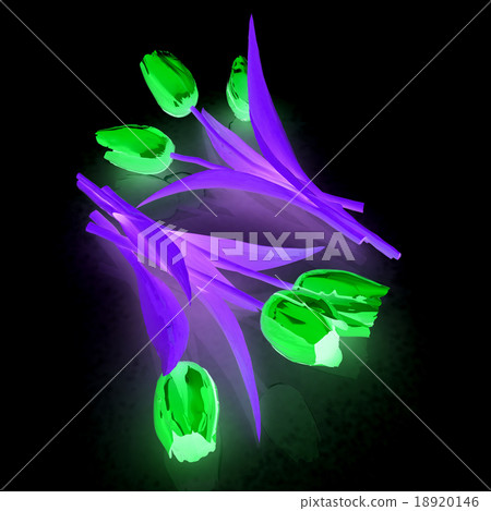 Tulip flower Tulip flower 18920146