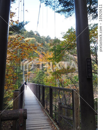 Retrospective suspension bridge fall 18920611