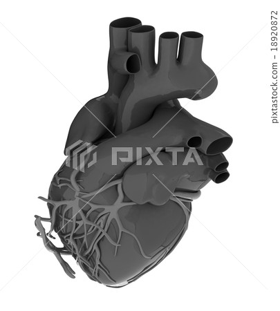 Human heart 18920872