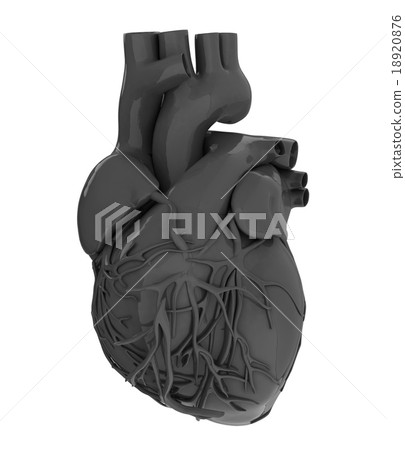 Human heart Human heart 18920876