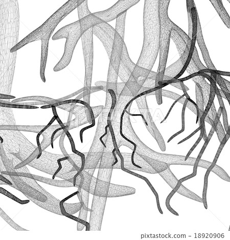 Fantasy veins. Medical illustration Fantasy veins. Medical illustration 18920906