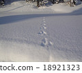 Footprints of fresh snow and rabbits 18921323