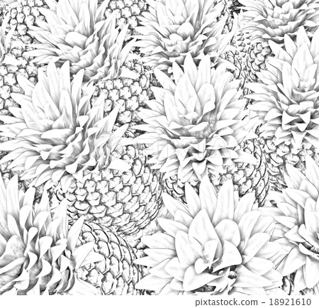Pineapples background 18921610