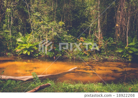 Thousand lingas river. Angkor. Siem Reap. Cambodia Thousand lingas river. Angkor. Siem Reap. Cambodia 18922208