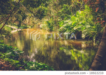 Thousand lingas river. Angkor. Siem Reap. Cambodia Thousand lingas river. Angkor. Siem Reap. Cambodia 18922210