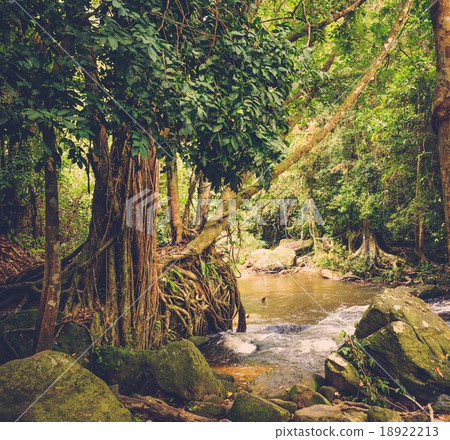 Thousand lingas river. Angkor. Siem Reap. Cambodia Thousand lingas river. Angkor. Siem Reap. Cambodia 18922213