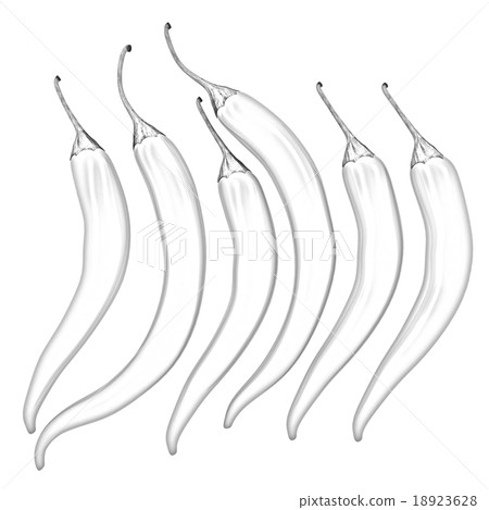 Hot chilli pepper set isolated on white background Hot chilli pepper set isolated on white background 18923628