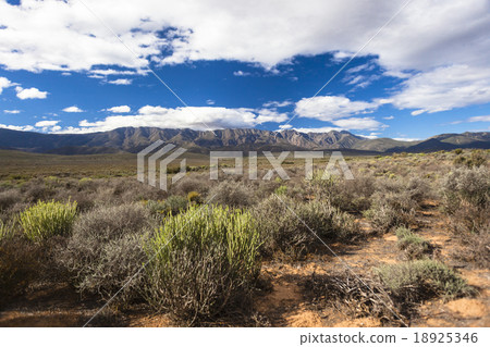 Rural Landscape Rural Landscape 18925346