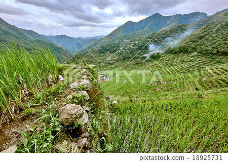 road in rice paddy terrace fields  Philippines 18925731