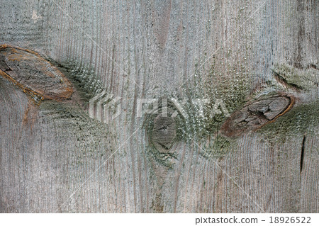 Beautiful wood texture 18926522