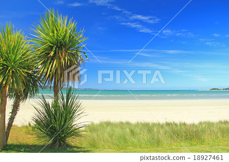 Dream beach 18927461