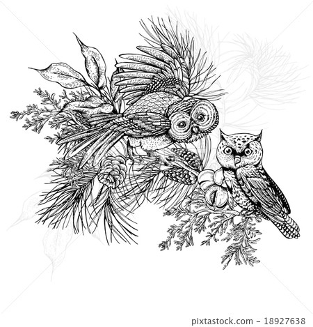 Forest greeting card with owls, spruce and fir 18927638