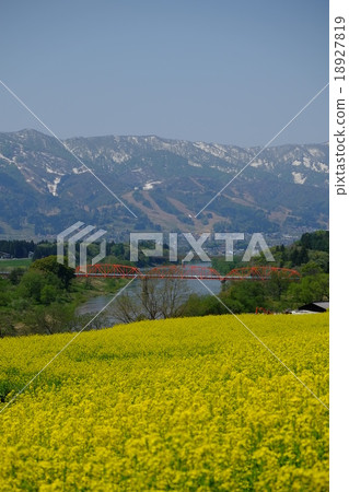 強姦飯山和Ozeki橋(垂直) 強姦飯山和Ozeki橋(垂直) 18927819