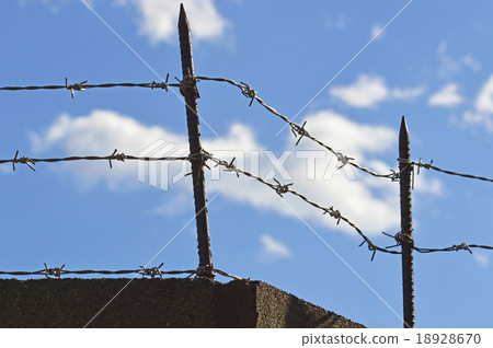 Shucklooms和鐵絲網 18928670