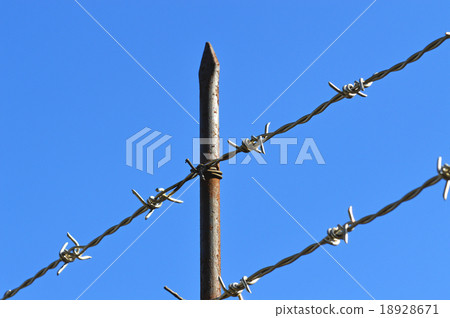 Shucklooms和鐵絲網 18928671