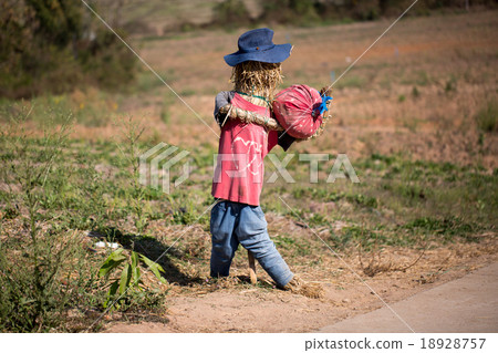 Funny scarecrow in a field Funny scarecrow in a field 18928757