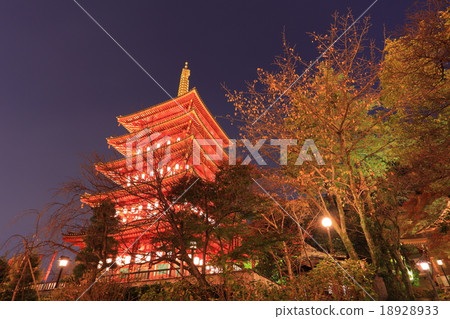 Takahata Fudobo五層塔夜景 18928933