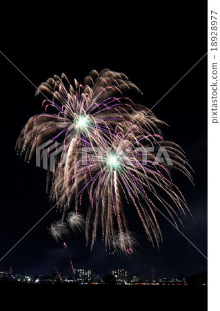 Ebisu Fireworks Tournament Star Mine Ebisu Fireworks Tournament Star Mine 18928977