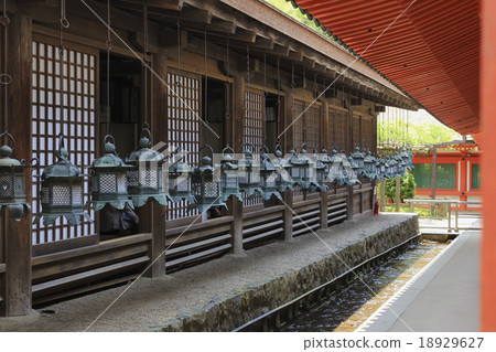 Hanging lantern of Nara Kasuga Taisha Shin direct meeting room 18929627