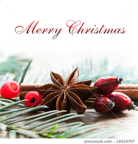 merry christmas card merry christmas card 18929707