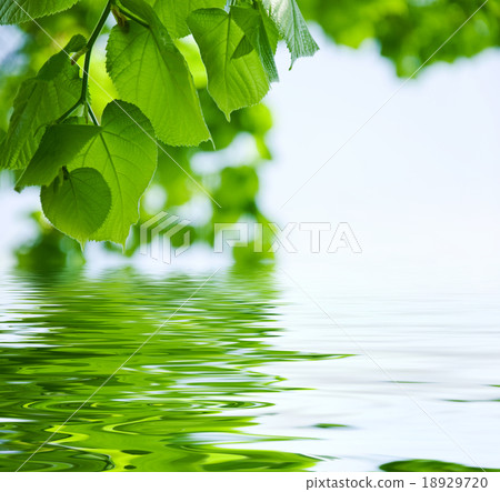 nature background 18929720