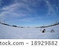Snow and dog 18929882