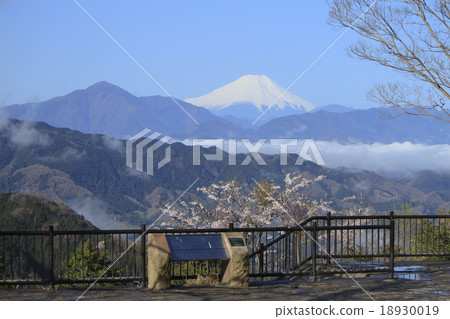 From Mt. Fuji Takao Tree Mountain Observatory at the Cherry Blossom Season 18930019