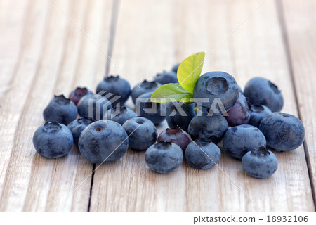 blueberry blueberry 18932106