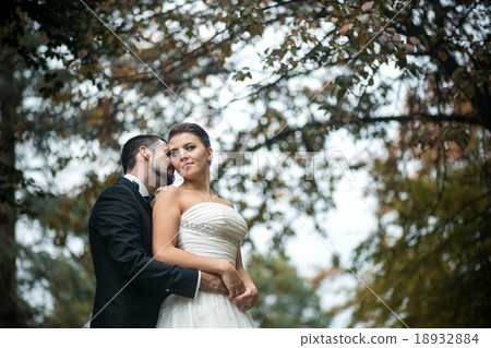 groom embracing bride from back groom embracing bride from back 18932884