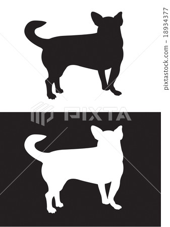 Chihuahua dog breed - silhouette vector Chihuahua dog breed - silhouette vector 18934377