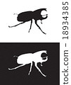 Vector silhouette of rhinoceros beetle 18934385