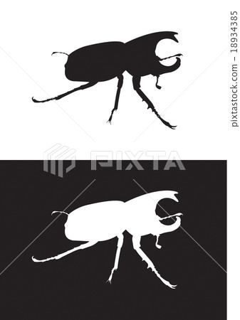 Vector silhouette of rhinoceros beetle Vector silhouette of rhinoceros beetle 18934385
