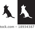 Chihuahua dog breed - silhouette vector 18934387