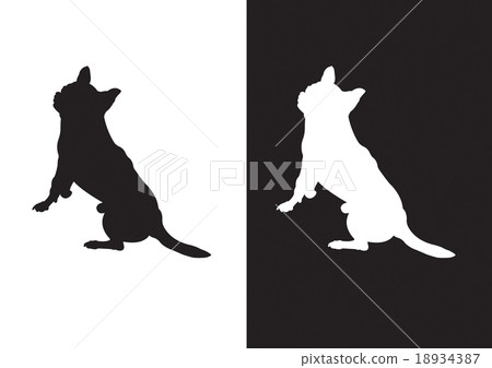 Chihuahua dog breed - silhouette vector Chihuahua dog breed - silhouette vector 18934387