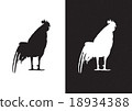 Cock, chicken, rooster - silhouette vector 18934388