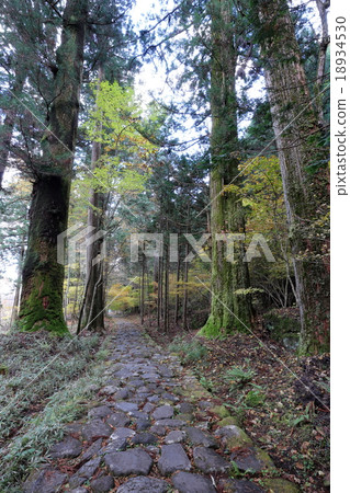 Nikko Haruyama Shrine Takioo 18934530